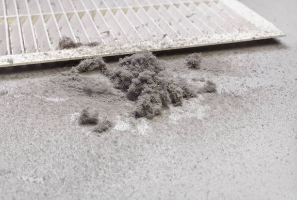 Best HVAC Duct Inspection Services  in Agua Dulce, CA