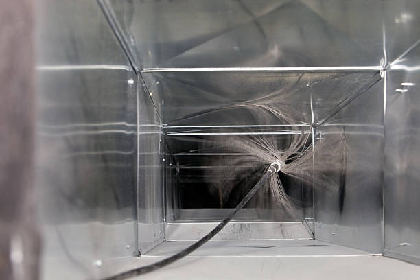 Best Affordable Duct Cleaning Services  in Agua Dulce, CA