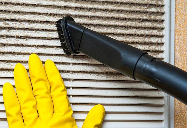Best Air Vent Cleaning Services  in Agua Dulce, CA